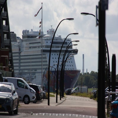 IMG_8403.jpg