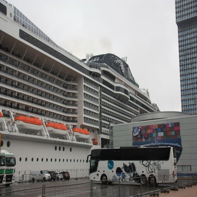 IMG_7306.jpg