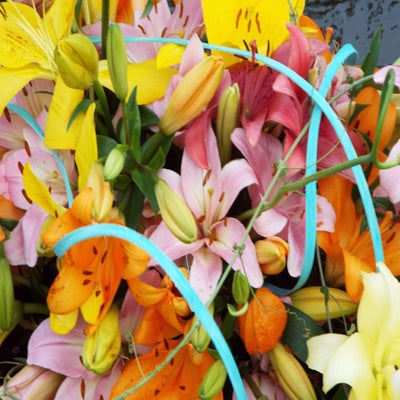 DSCF2587.jpg