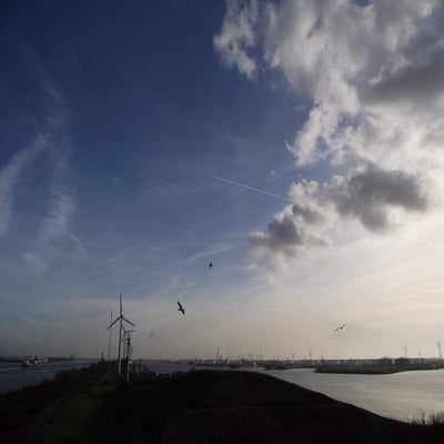 DSCF8920.jpg