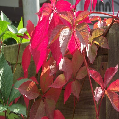 2014-09-23Duitsland094.jpg