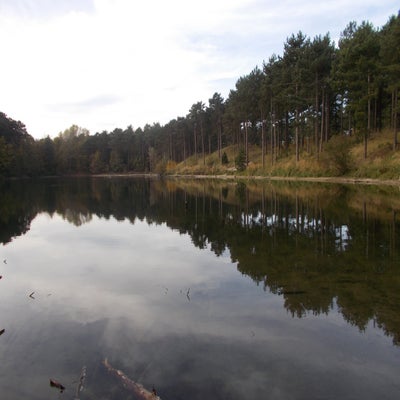 DSCN2519.jpg