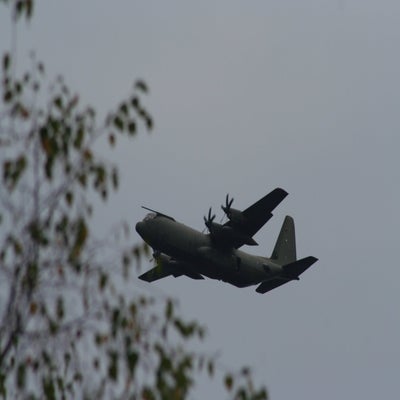 IMG_3169.jpg