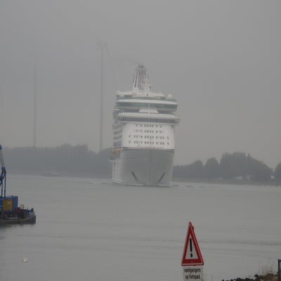 DSCN9294.jpg
