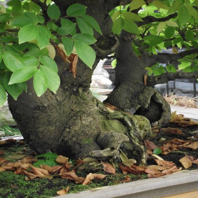 DSCF8637.jpg