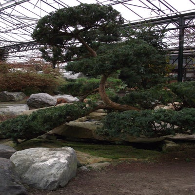 DSCF8611.jpg