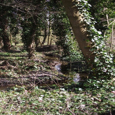 DSCF5171.jpg