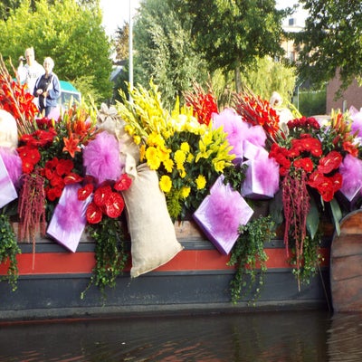 DSCF2536.jpg