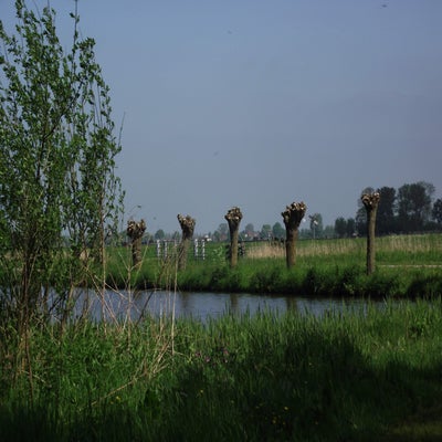 018-1.jpg