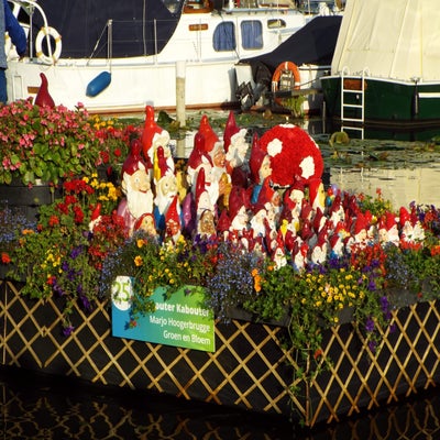 DSCF2548.jpg