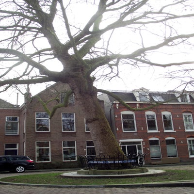 DSCF4855.jpg