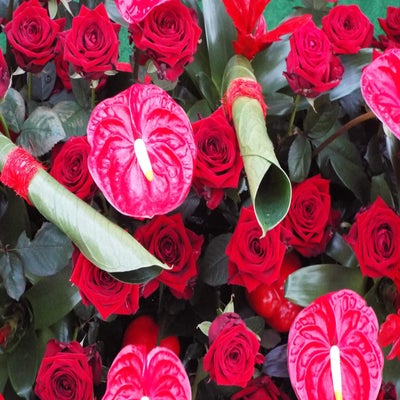 DSCF2673.jpg