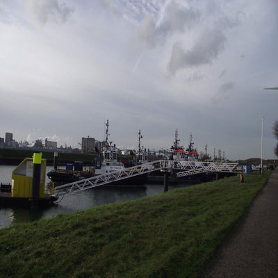DSCF8949.jpg