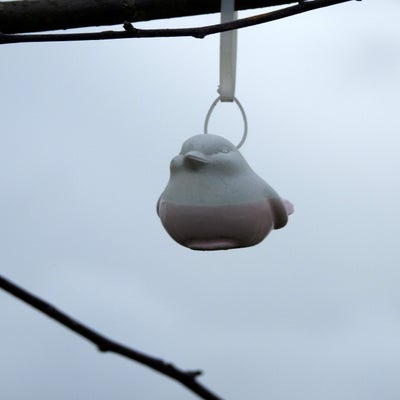DSCN4113.jpg