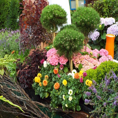 DSCF2581.jpg