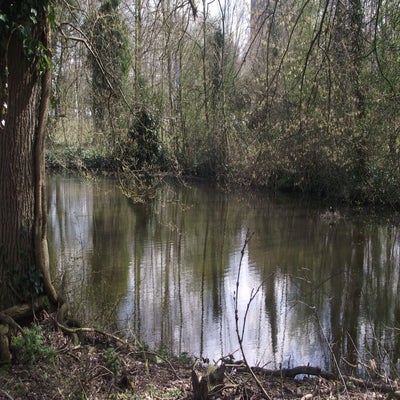 DSCF5163.jpg