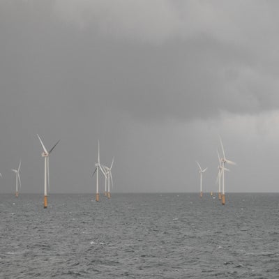 DSCN9662.jpg
