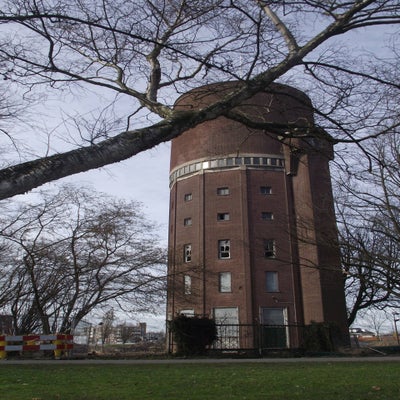 DSCF4805.jpg