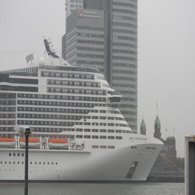 DSCN9440.jpg