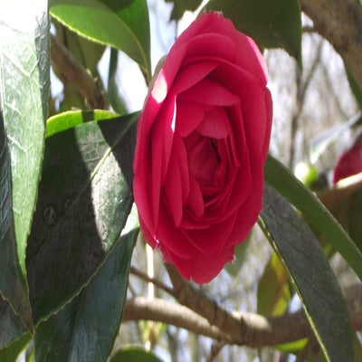 DSCF5189.jpg