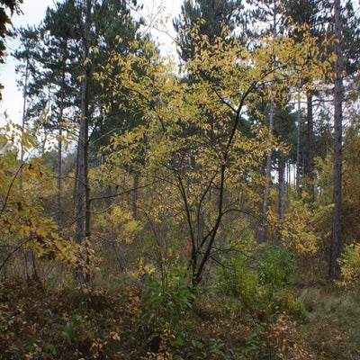 IMG_2659.jpg
