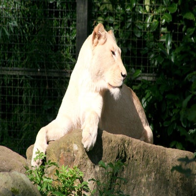 IMG_3077.jpg