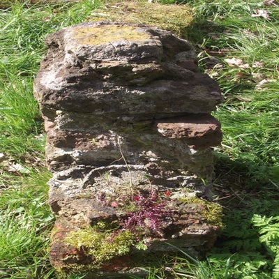 DSCF5200.jpg