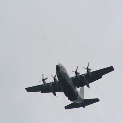 IMG_3164.jpg