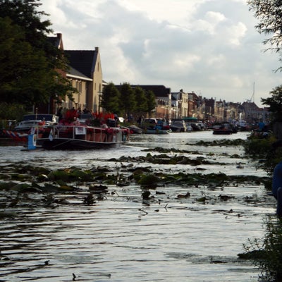 DSCF2517.jpg