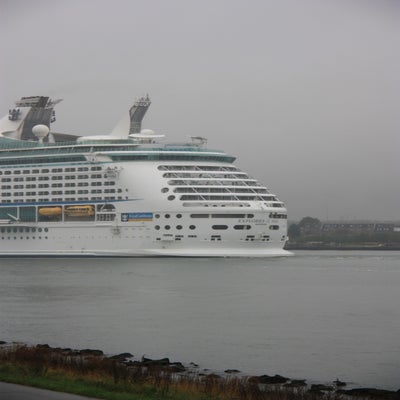 IMG_7217.jpg