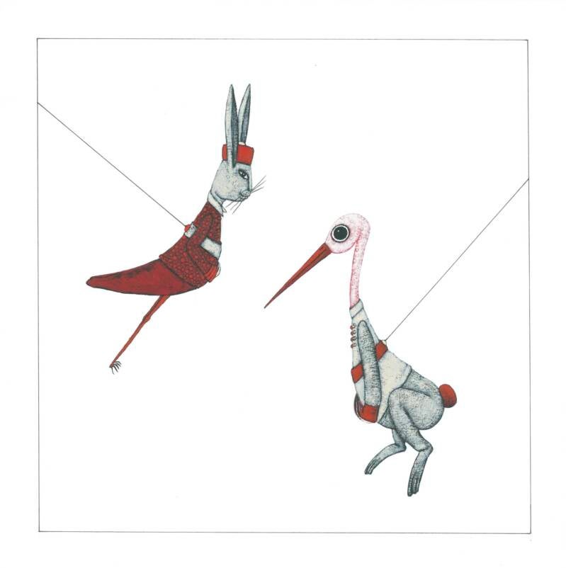 The adventure of Madam Stork