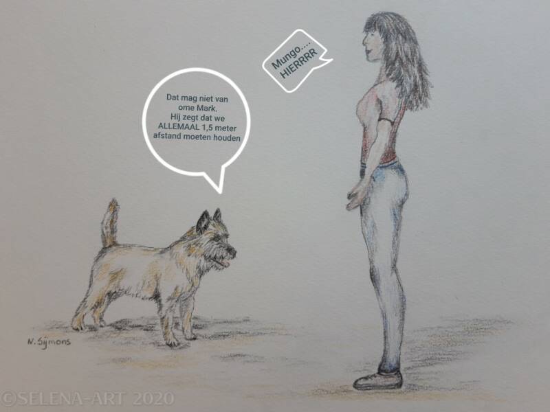 De corona tijd en de Cairn Terriër 2020