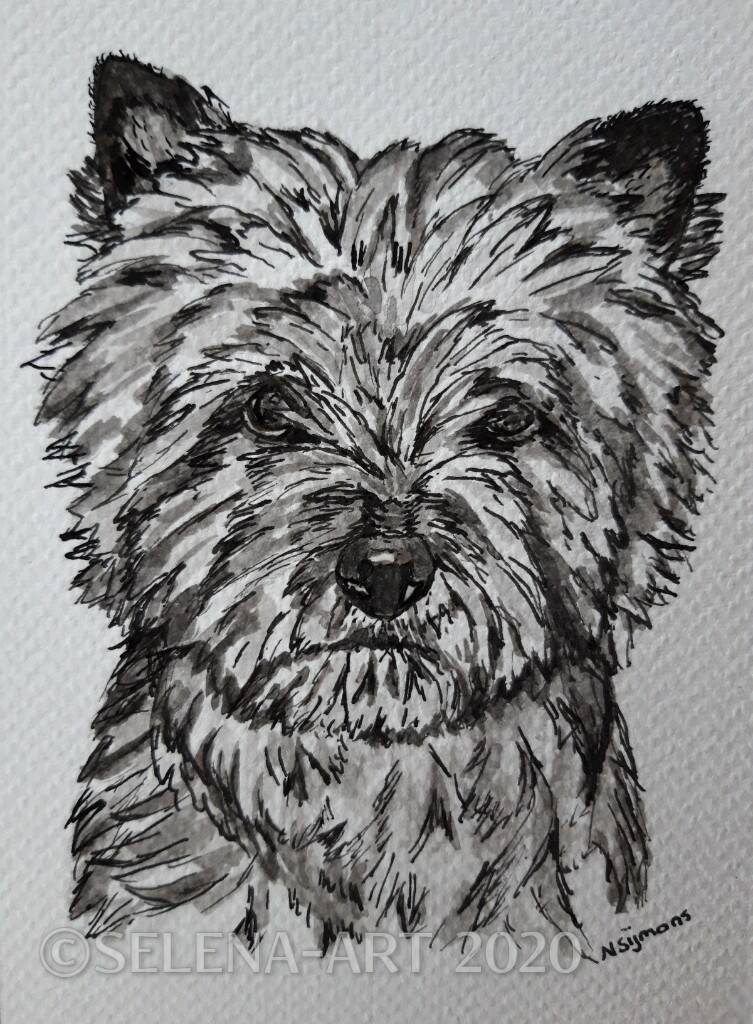 Inkt tekening Cairn Terriër 2020