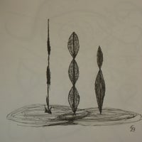 terts-1.jpg