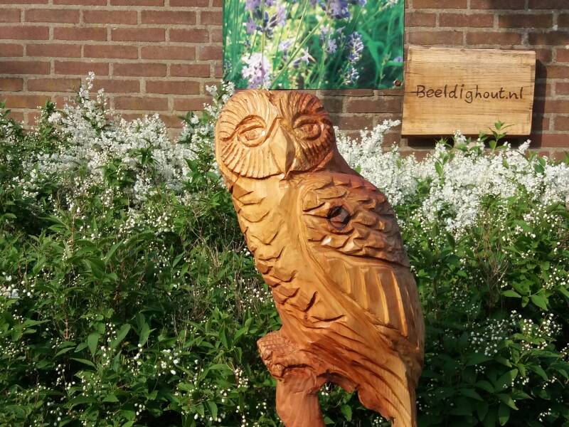 Uil van Beeldighout, Rob Peters