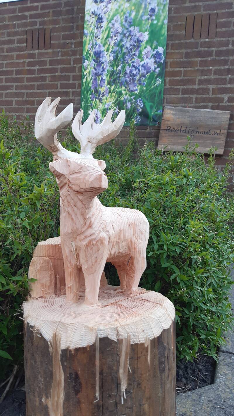 Hert, door Rob Peters Beeldighout.nl