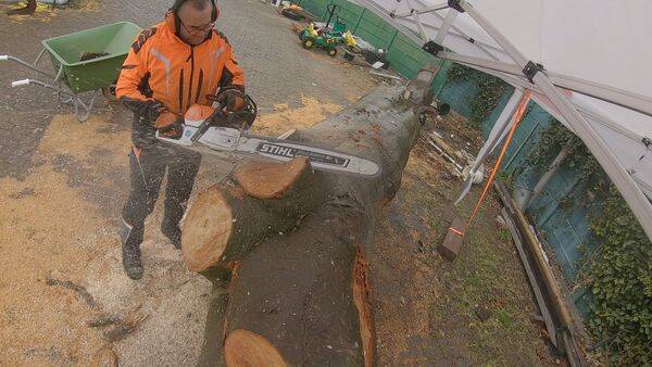 al snel vallen grote stukken hout van de stam af