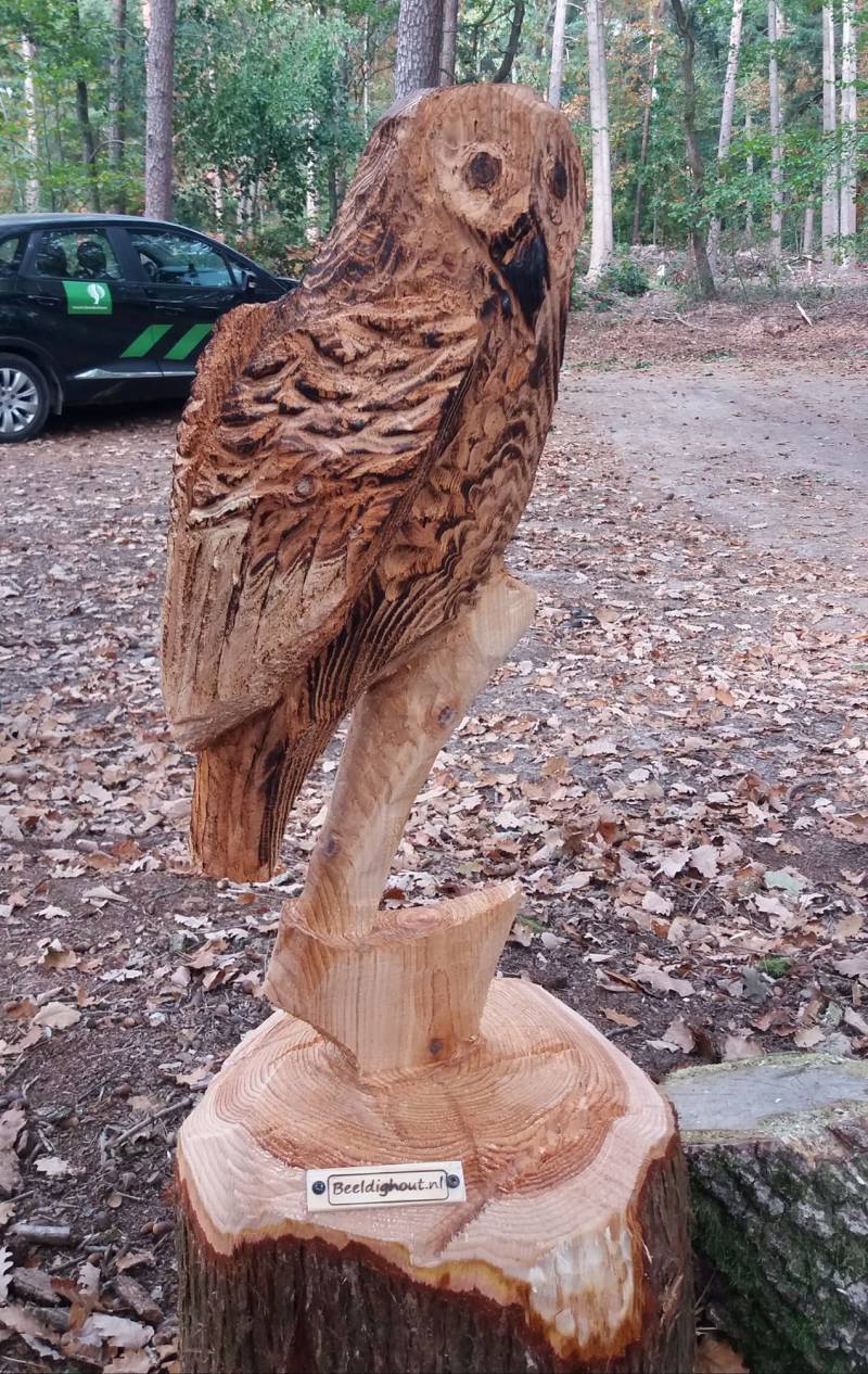 uil zittend op een bijl, stihl