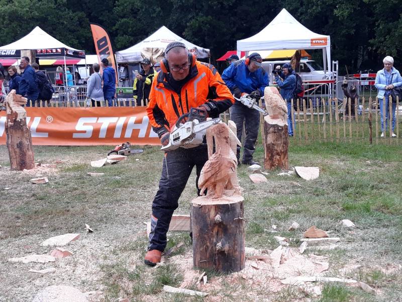 speedcarving houthakkersfeest