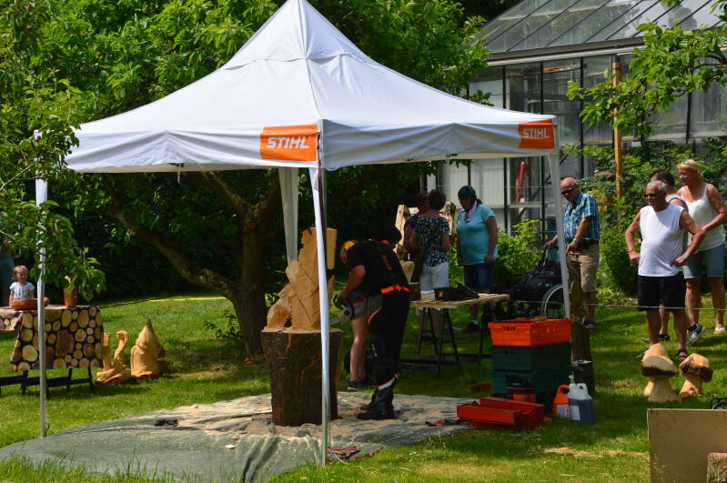 Kettingzaag demonstratie