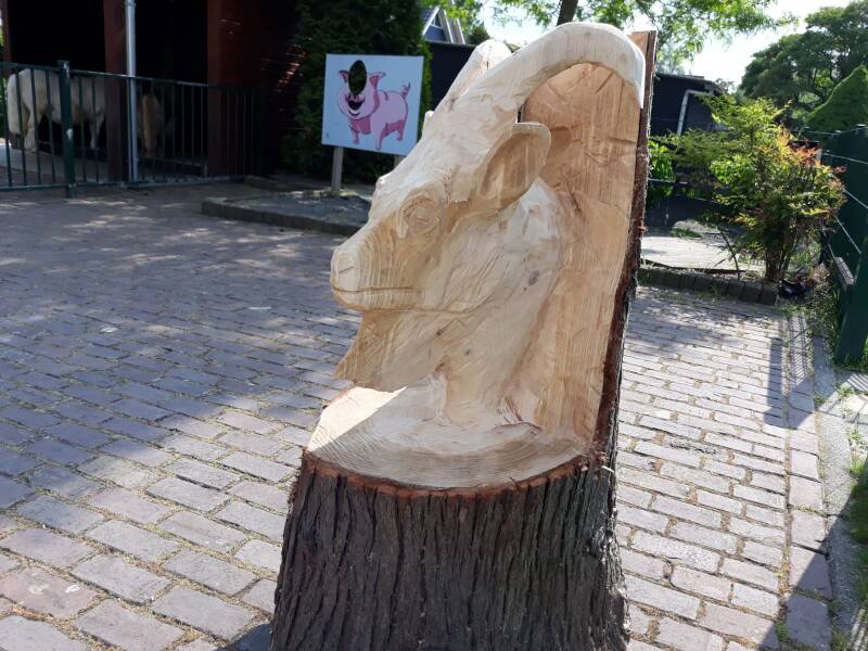 geit , Klein Boveneind