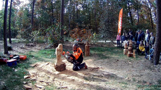 Stihl demonstratie, groesbeekse bosdag