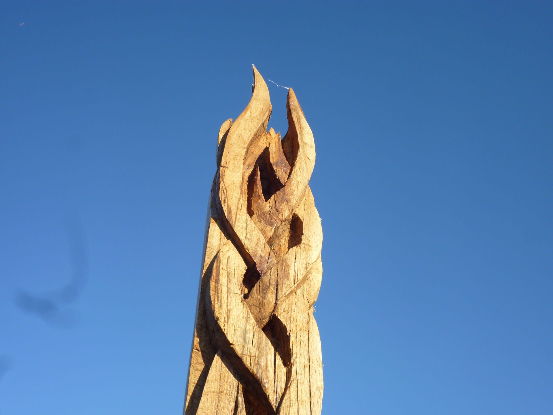 voedselos lingezegen