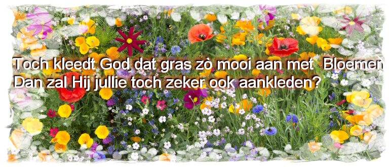 God kleed oons zoals de aarde met bloemen