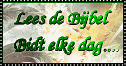 Bijbel, lees de bijbel gratis