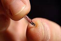 chip, naar hel of hemel