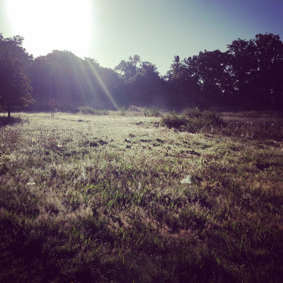 Scherpe zonnestralen over het land