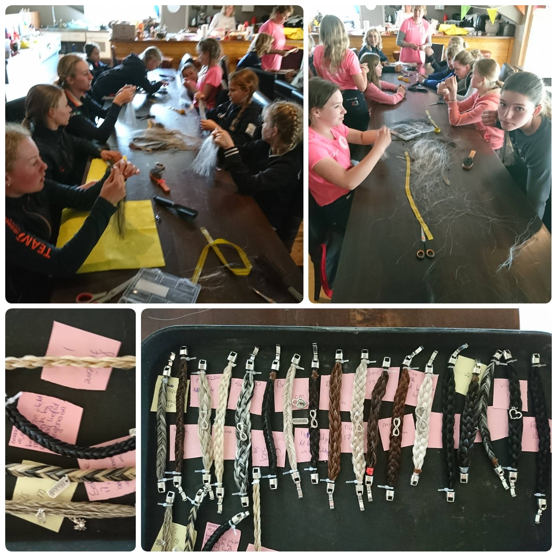 Workshop Kootwijkerbroek Www.armbandpaardenhaar.nl/workshops