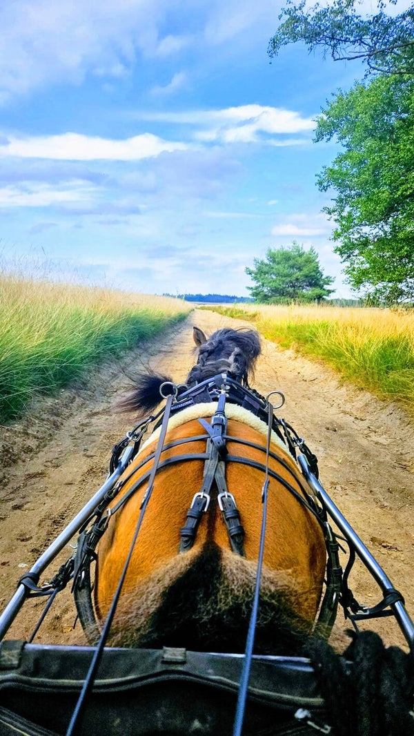 SMR Oefen Shetdurance 2026