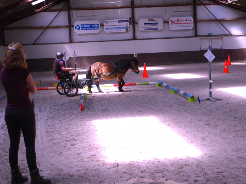Instructeur Veronique de Ruijter in actie met haar paard Nabar